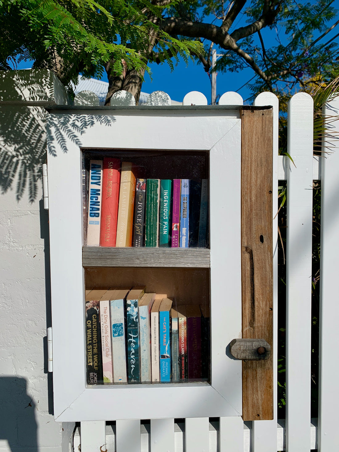 Unveiling the Magic: How Do Street Libraries Work to Ignite the Love for Reading in Communities