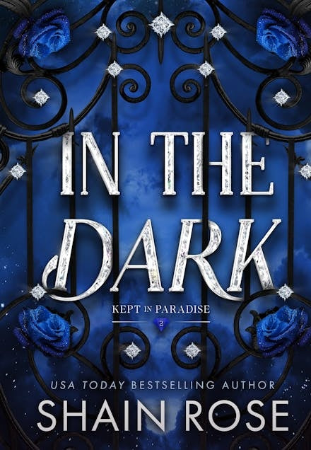 In The Dark - Shain Rose